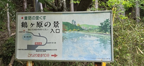 20250501_153303