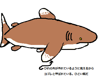 013 へらつの鮫