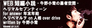 ヘリマルセブンティーン1 320-100