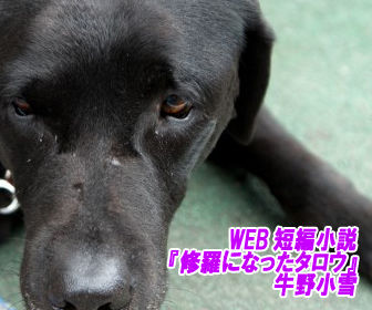 修羅になったタロウ