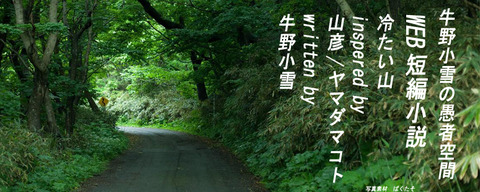 冷たい山 800-320