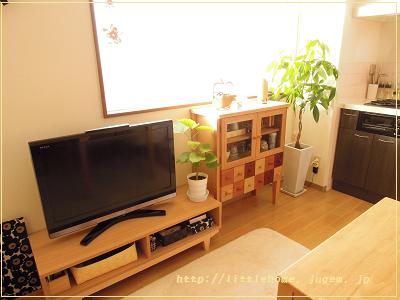 DSCN0004.JPG