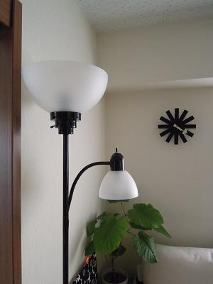 DSCN3029.JPG