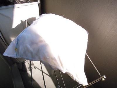 DSCN2901.JPG