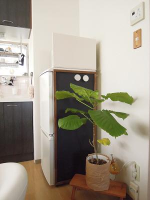 DSCN4367.JPG