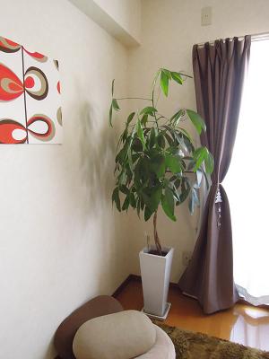 DSCN4140.JPG