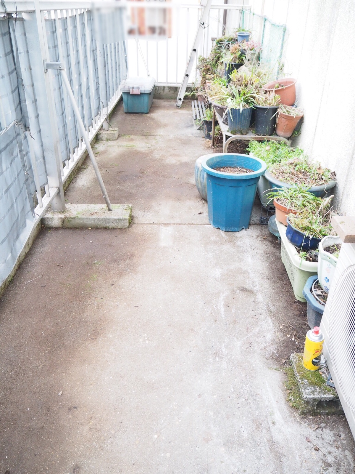 実家片づけ プランターの代わりに使ったもの Littlehome Powered By ライブドアブログ