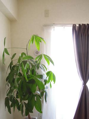 DSCN4143.JPG