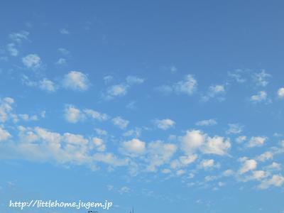 DSCN6783.JPG