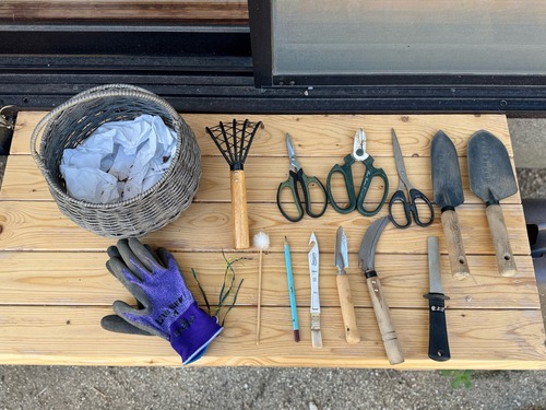 FullSizeRender