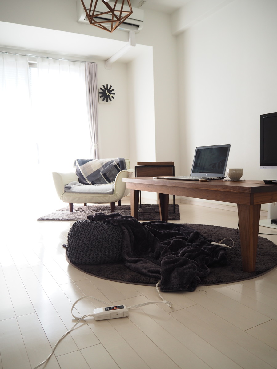 愛用品 コタツ代わりの電気敷毛布 Littlehome Powered By ライブドアブログ