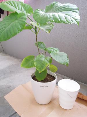 DSCN1719.JPG