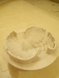 DSC02209.JPG