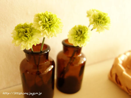 DSC02816.JPG
