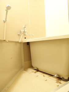 DSC02206.JPG