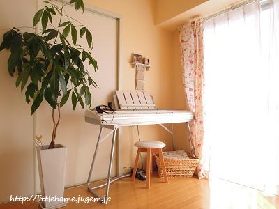DSCN6716.JPG
