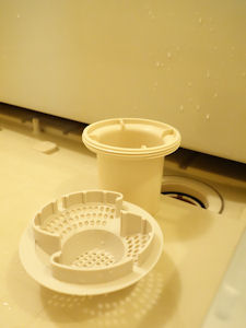 DSC02213.JPG