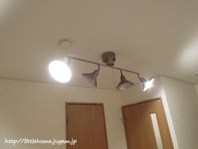 DSCN6558.JPG