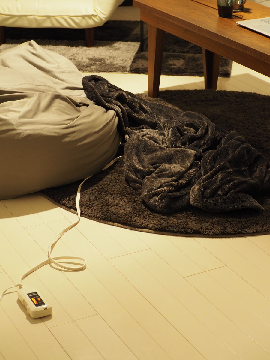 愛用品 コタツ代わりの電気敷毛布 Littlehome Powered By ライブドアブログ