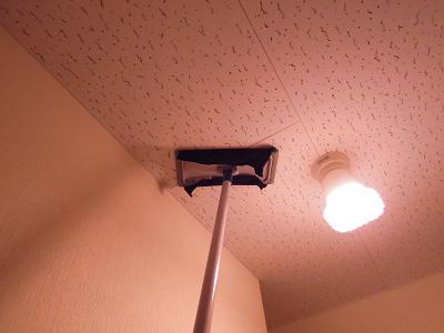 DSCN3075.JPG