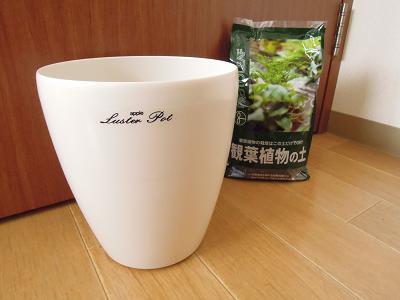 DSCN1717.JPG