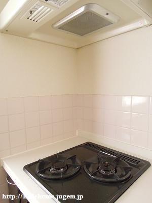 DSCN4919.JPG