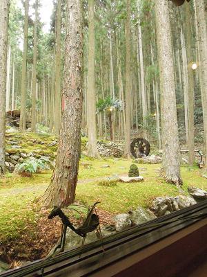 DSCN3098.JPG