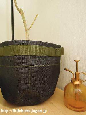 DSCN5077.JPG