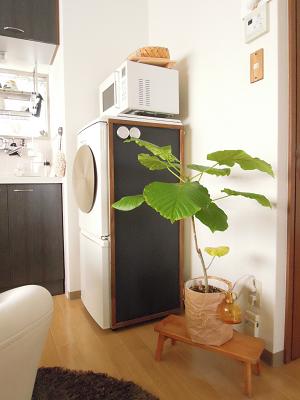 DSCN4335.JPG