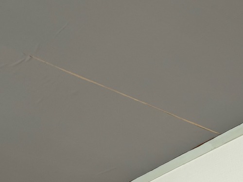 IMG_1417