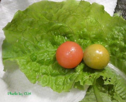 Photo by CLM 矮性種レジナ めちゃうまイエローP1040063