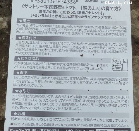 Photo by CLM  純あま　P2180970