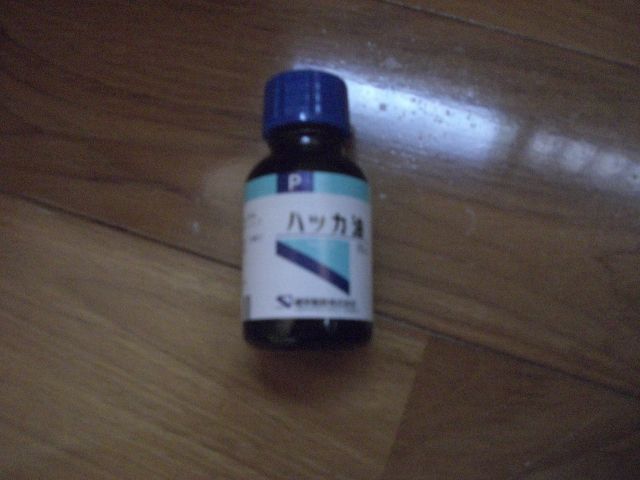 トイレ掃除 そんなことより片づけようぜ