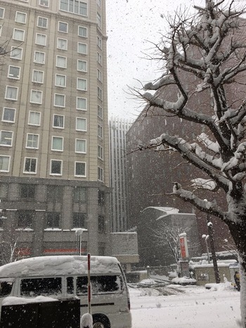 Sapporo161210-1