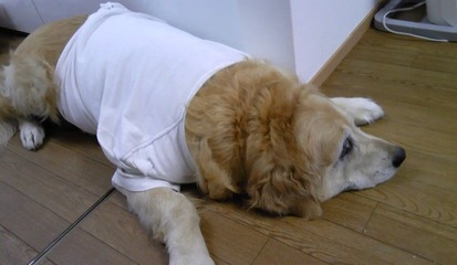 T-shirt1