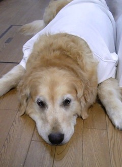 T-shirt2