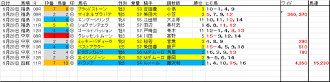 6月29日買目結果