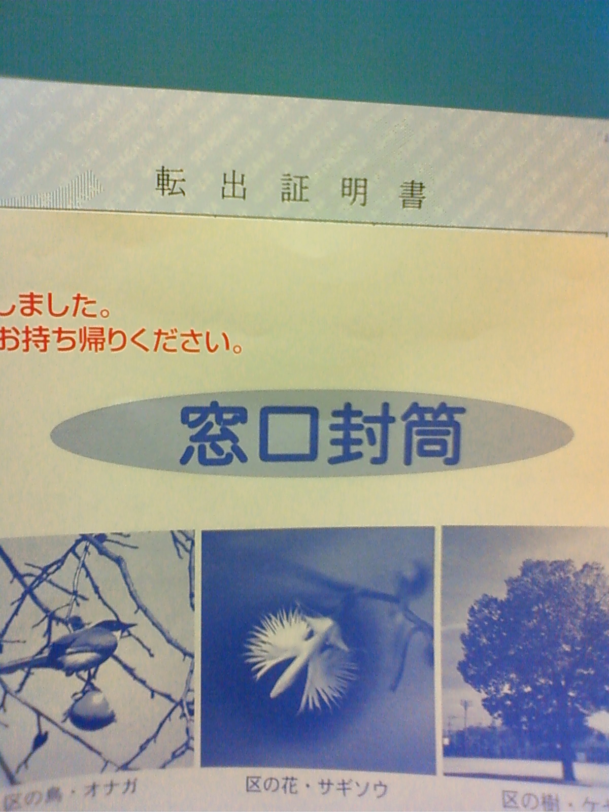 世田谷区からの転出届 社会人奮闘日誌 海外赴任編 世田谷区からの転出届 社会人奮闘日誌 海外赴任編