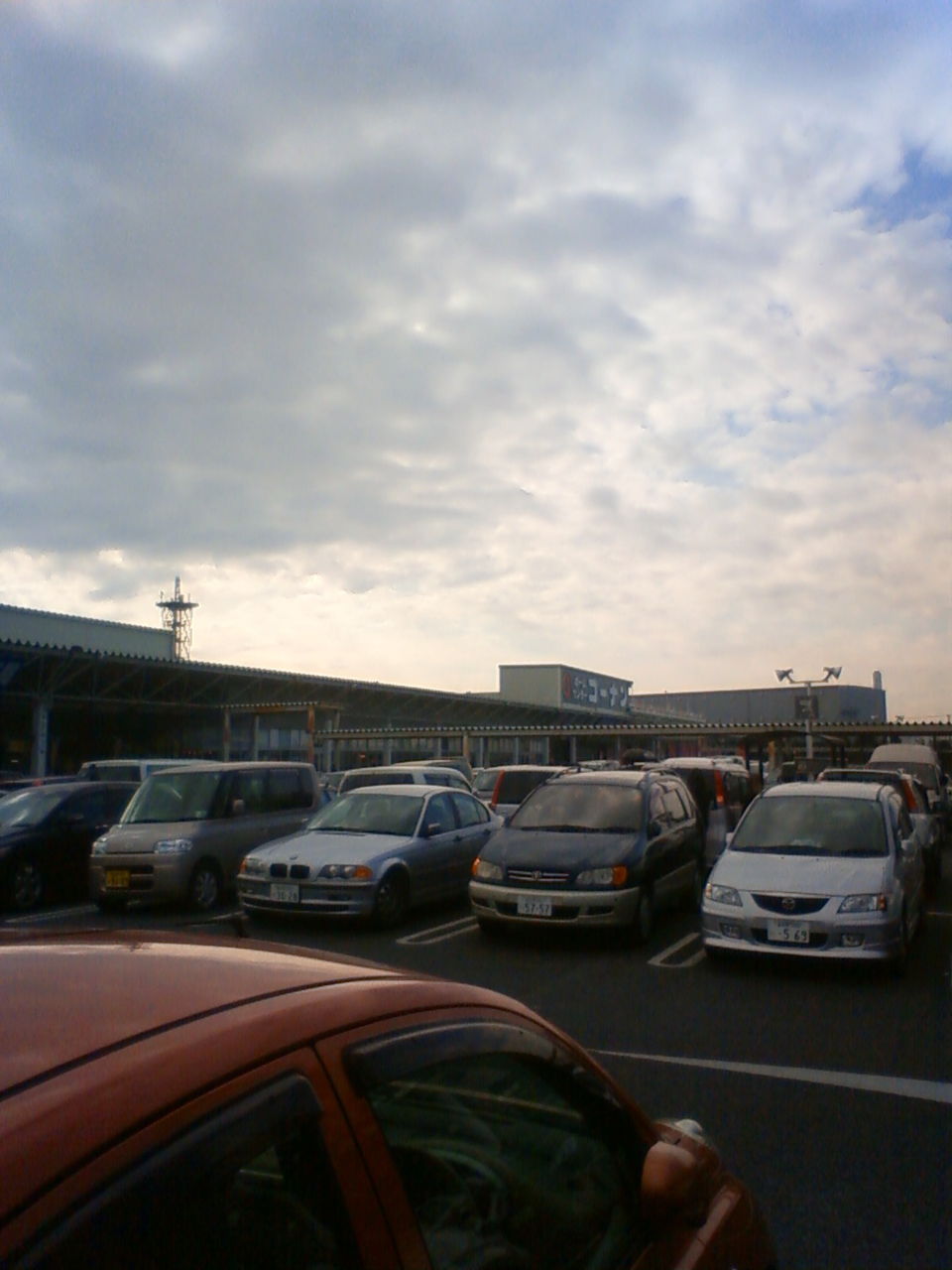 ホームセンターコーナン市川原木店 社会人奮闘日誌 海外赴任編