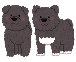 dog_karafutoken_taro_jiro