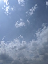 IMG_20200422_122530 (1)
