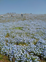 P_20220505_083800