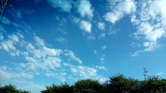 1656230357882