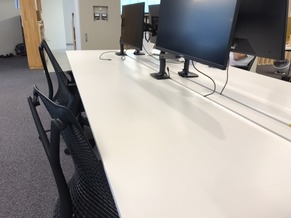 S__31358981