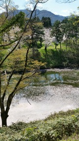 20170428_102319_resized