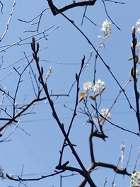 IMG_20220410_113705
