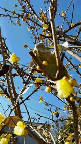 20150114_101924