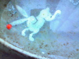 201012311038000