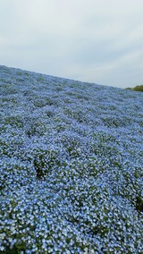 20170427_114143_1494198821609_resized