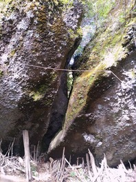 IMG_20221021_135540